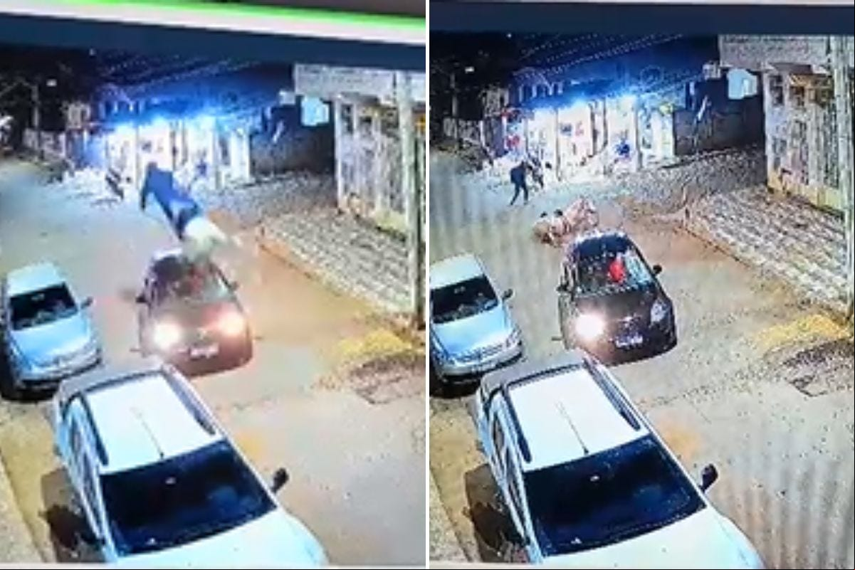 Acidente entre carro e cavalo assusta moradores de Lagoa Dourada (MG)